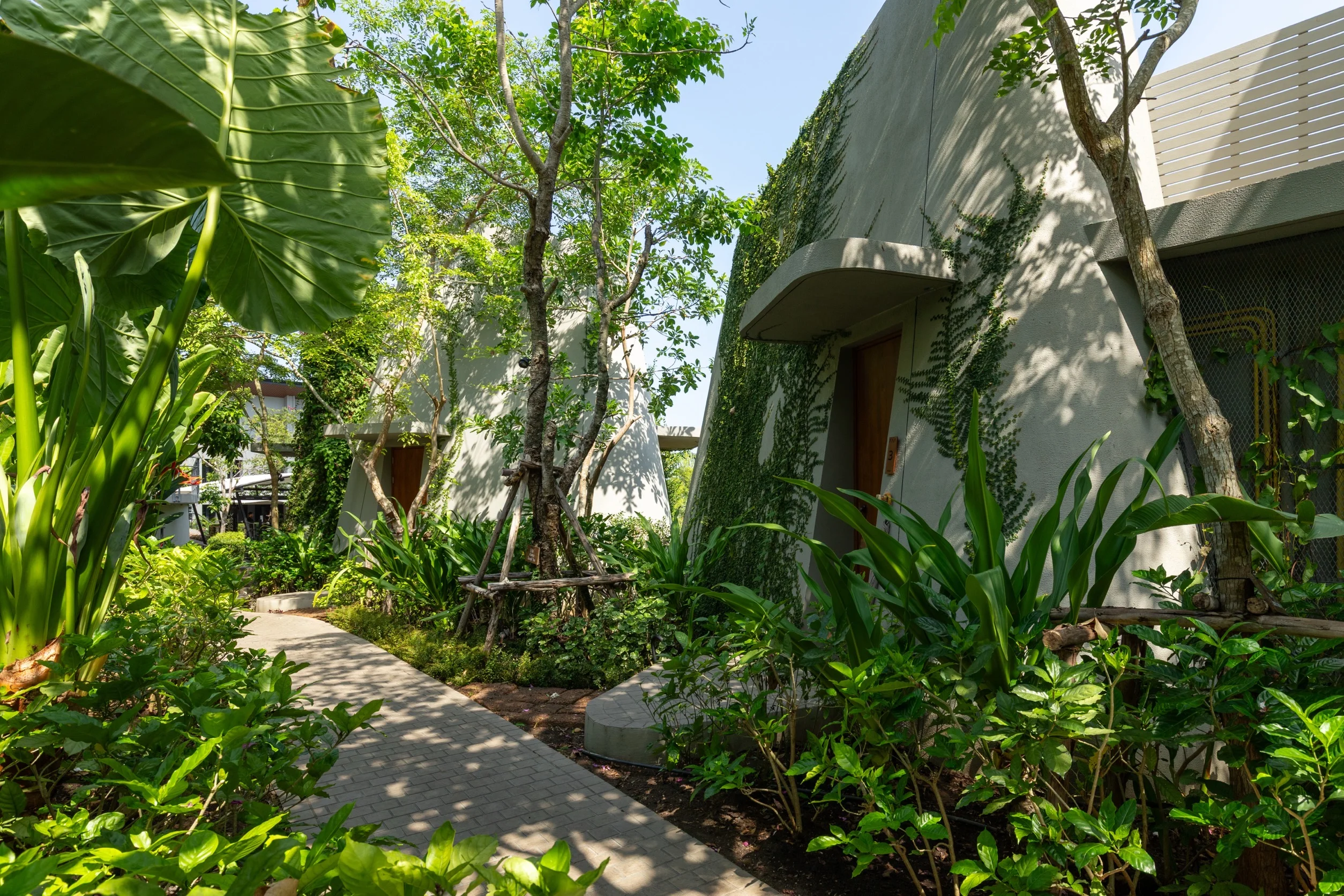 Gallery View